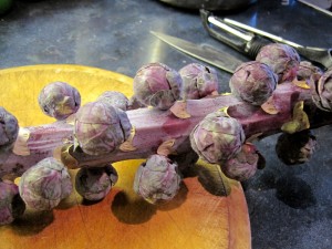 Red Brussels Sprouts