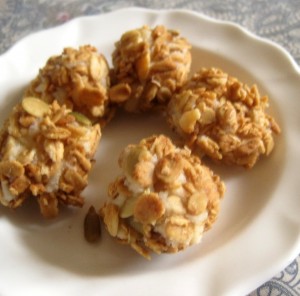 granola truffles 005